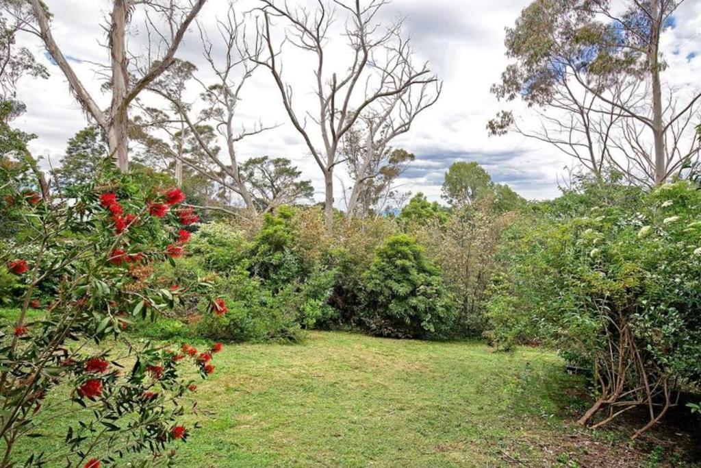The Black Cockatoo - Secret Garden Treetops Home Katoomba Exterior photo