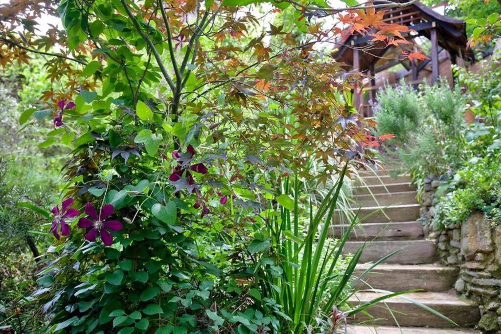 The Black Cockatoo - Secret Garden Treetops Home Katoomba Exterior photo